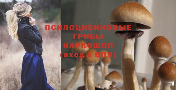 синтетический гашиш Балахна
