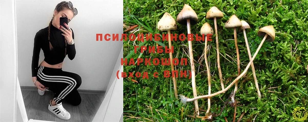 молекула духа Балабаново