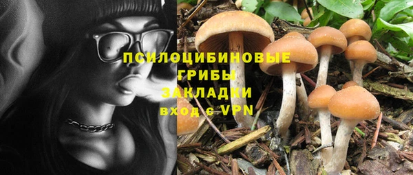 молекула духа Балабаново
