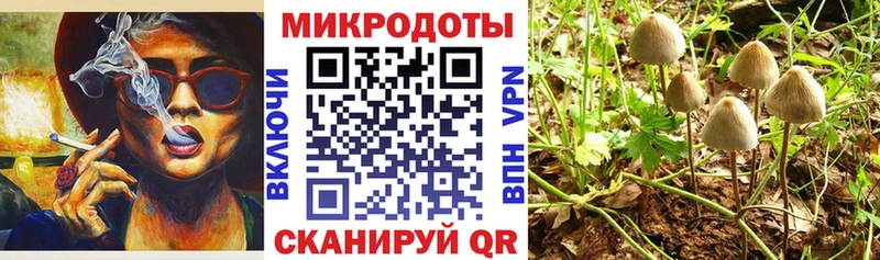 Псилоцибиновые грибы мицелий  ОМГ ОМГ зеркало  Нолинск  где купить наркоту 